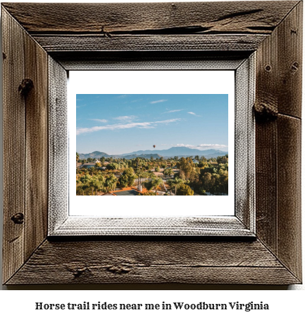 horse trail rides near me in Woodburn, Virginia